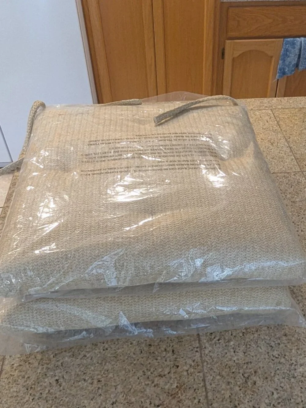 Pottery Barn Neutral Woven Beige Outdoor Chair Cushions, Set of 2 - NWOT
